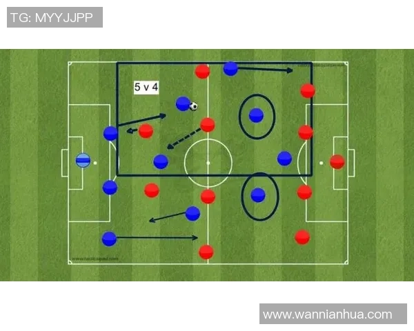 北京排球队盯防体系解析与战术运用探讨