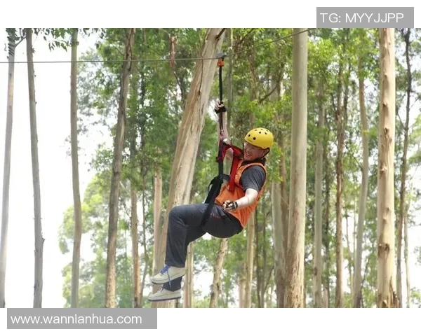 探索杭州极限运动队的灵活性与创新精神在极限运动中的应用与发展
